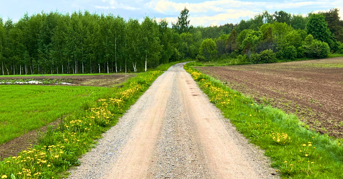 Kuvan keskellä horisonttiin jatkuva hiekkatie maalaismaisemassa Kuvan keskellä horisonttiin jatkuva hiekkatie maalaismaisemassa