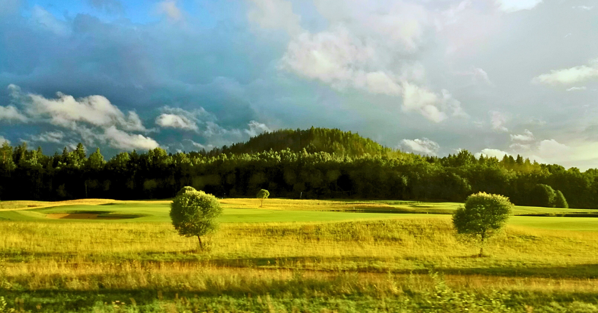 Kuvassa suomalainen avara maisema, horisontissa näkyy metsä Kuvassa suomalainen avara maisema, horisontissa näkyy metsä